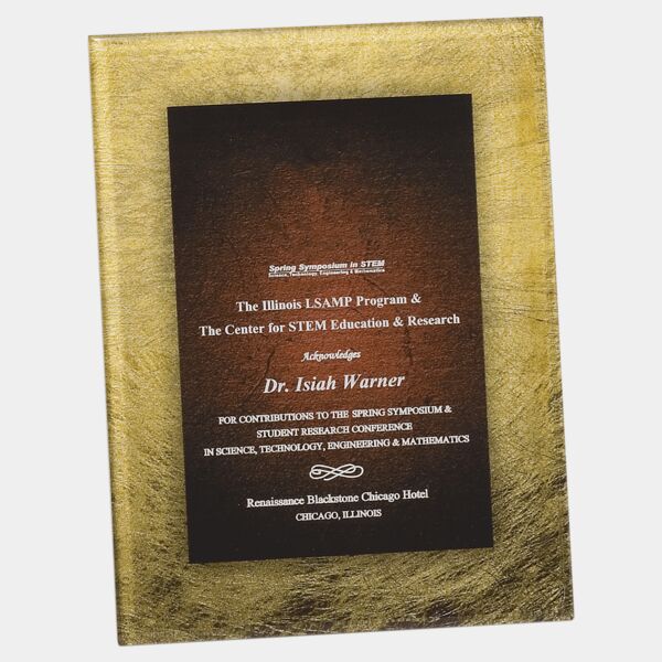 7 3/4" X 9 3/4" / Acrylic Art Plaque with Easel/Hanger Thumbnail