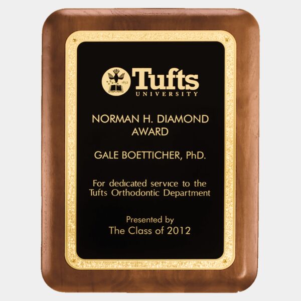 9" x 12" American Plaque with Textured LaserFX plate with Florentine Border Thumbnail