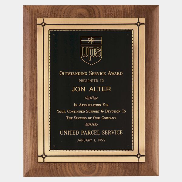 11" x 14" American Plaque with Antique Casting & High Quality Phoenix Frame Casting Thumbnail