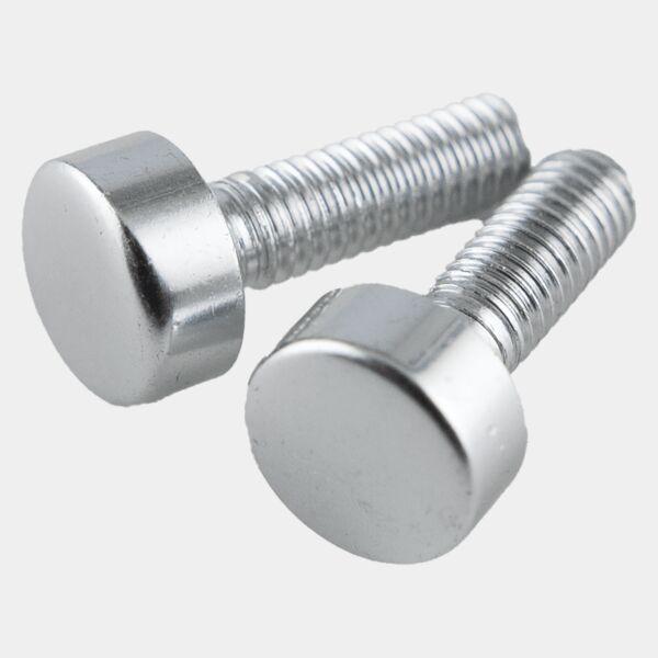 Replacement Screws for P5340 Perpetual Plaque Thumbnail