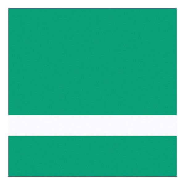 12" x 24" x 1/16" Matte Spring / Gemini Duets Selects Thumbnail