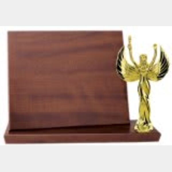 10" x 8" Value Finish Standup Plaque Thumbnail