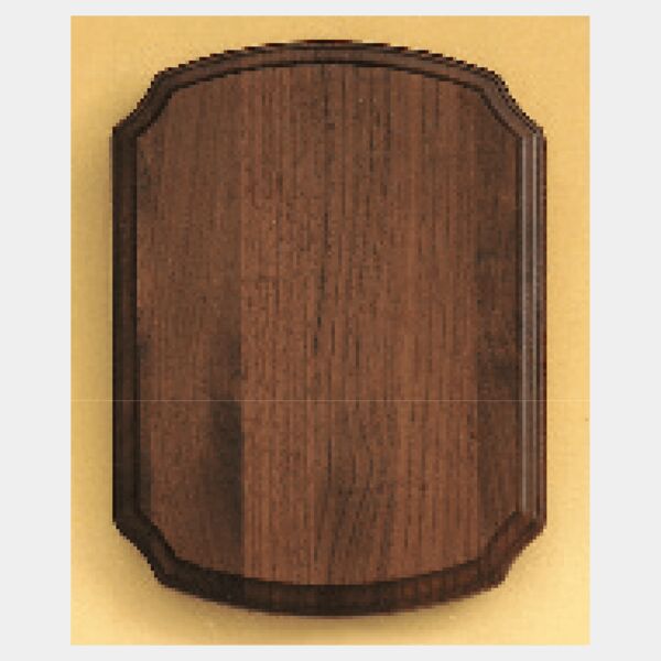 14" x 20" Airflyte American Plaque Thumbnail