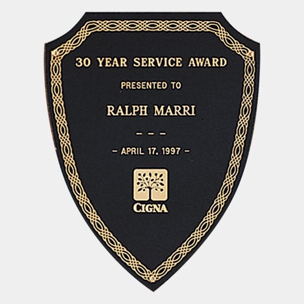 7 1/2" x 9 3/4" Laserable Brass Shield Plate with Design Border and Three Holes (Fits P36) Thumbnail