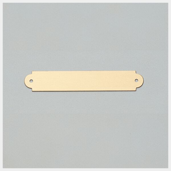 1/2" x 3" Brushed Brass Plate with Two Holes Thumbnail