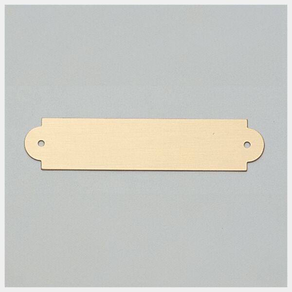 3/4" x 3 1/2" Brushed Brass Plate with Two Holes Thumbnail