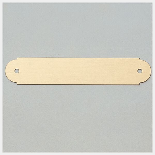 3/4" x 4" Brushed Brass Plate with Two Holes Thumbnail
